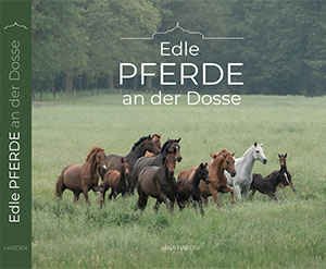 EDLE PFERDE AN DER DOSSE von der Pferdemalerin Jana Harder